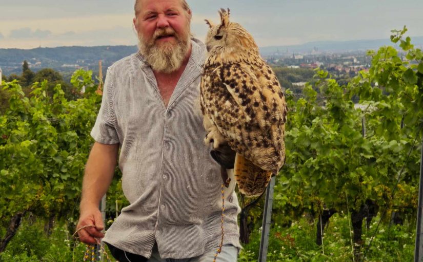 Besuch bei der Falknershow in Proschwitz