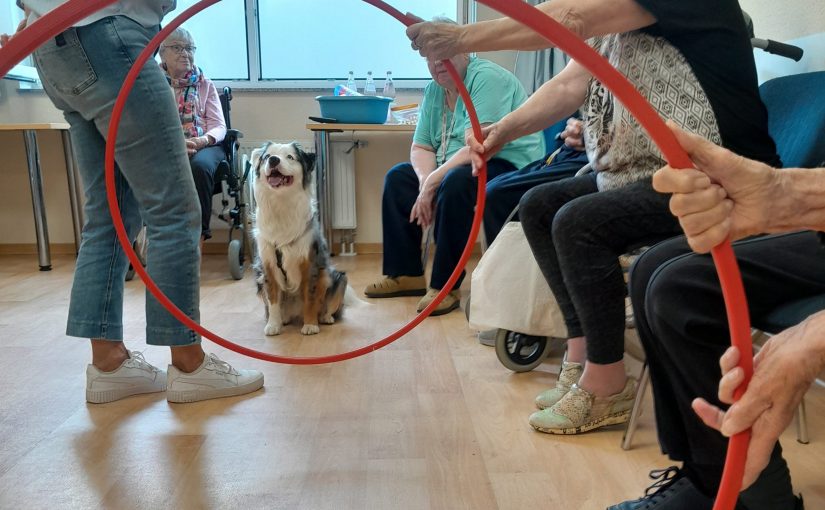 Sportstunde mit und ohne Flauschfaktor