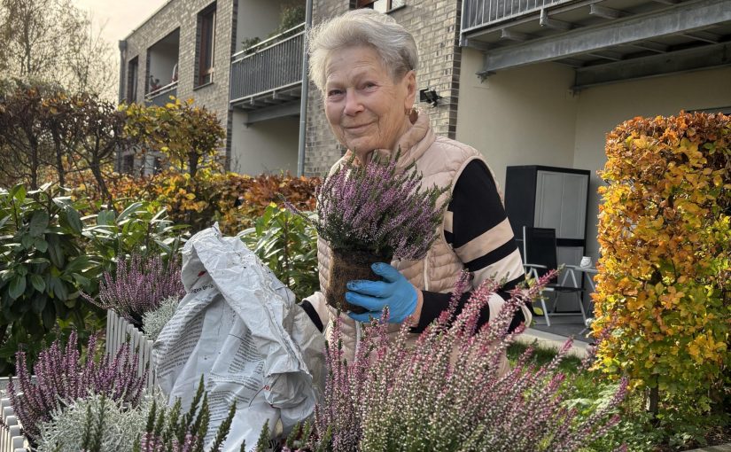 Der Garten wird winterfest