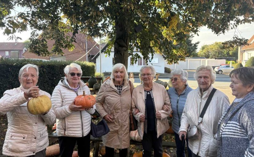 Schöne Blumen und viele Kürbisse