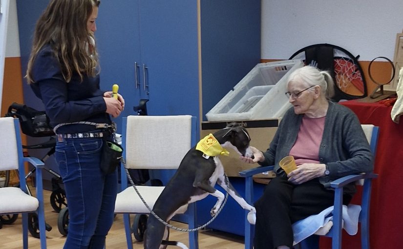 Therapiehund zu Besuch in Haan