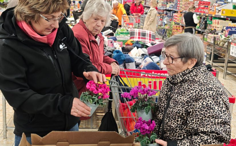 Stressfreier Einkaufsvormittag mit Spaß