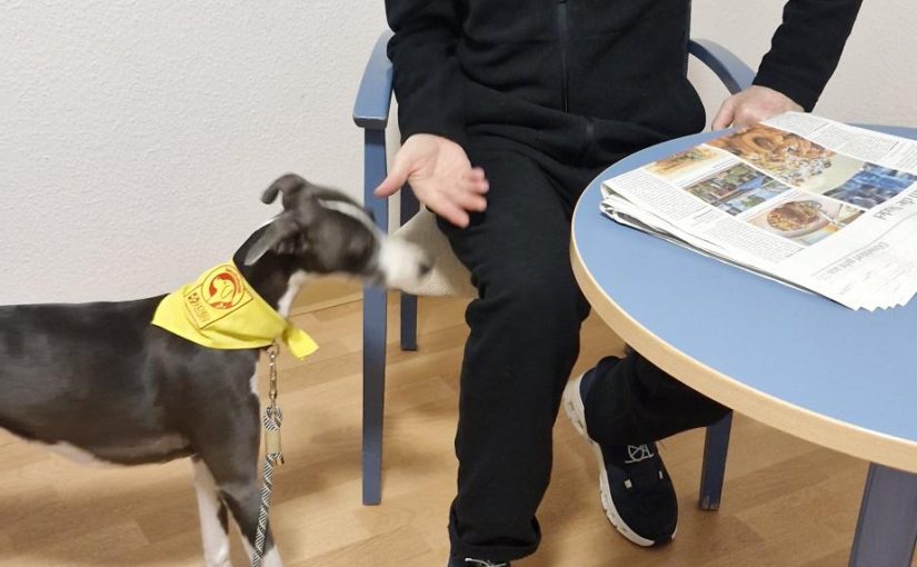 Besuch von Therapiehund Paula in Haan