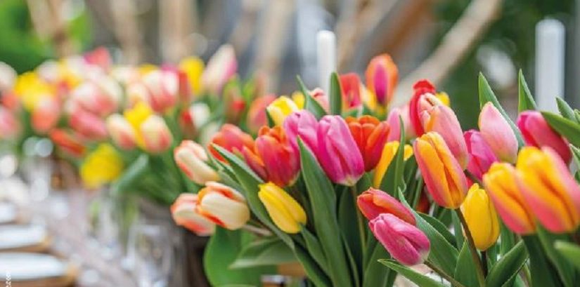 Herzliche Einladung zum Brunch