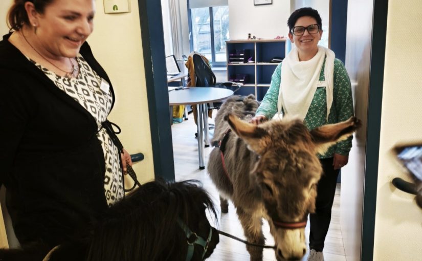 Tierischer Besuch bei uns