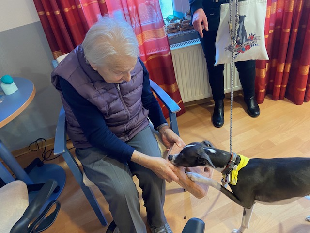 Therapiehündin zu Besuch in Haan