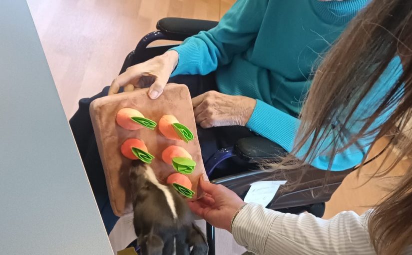 Therapiehündin erneut zu Besuch in Haan