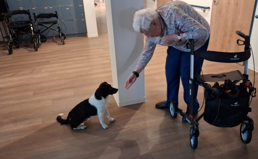 Ein besonderer Besuch in Voerde