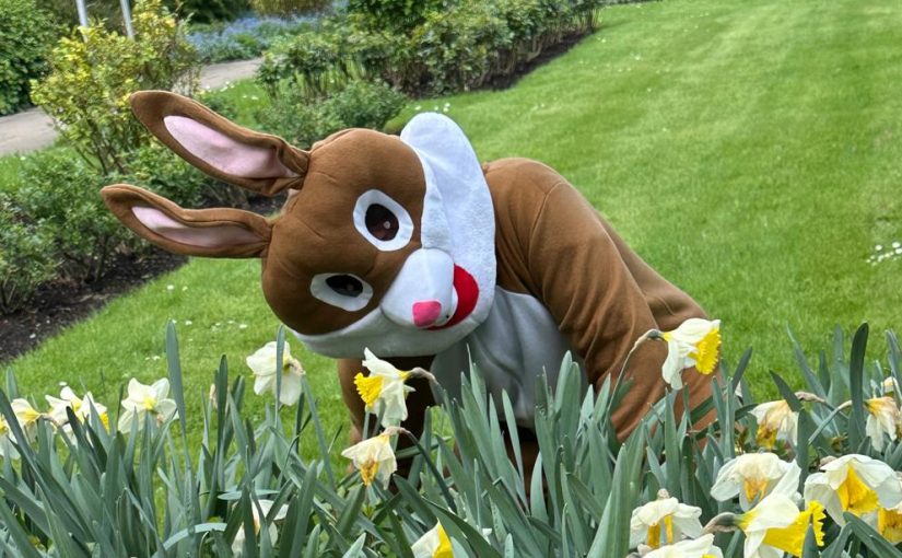 Ein Lächeln zum Osterfest – Herzliche Grüße vom Team carpe diem