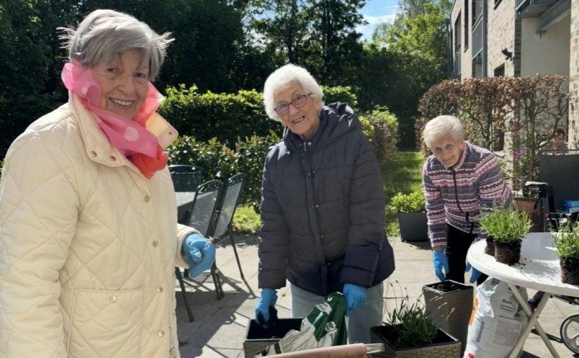 Frühlingshafte Pflanzaktion in Herten
