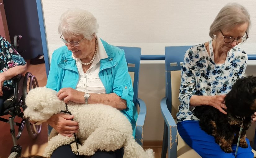 Hundeschule FairPlay zu Besuch