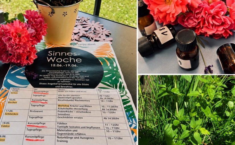Sinnesreisen-Woche