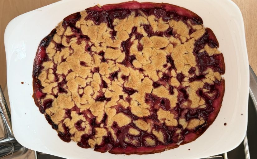 Tag 2 unserer Pflaumenernte – Resteverwertung kann so lecker sein!