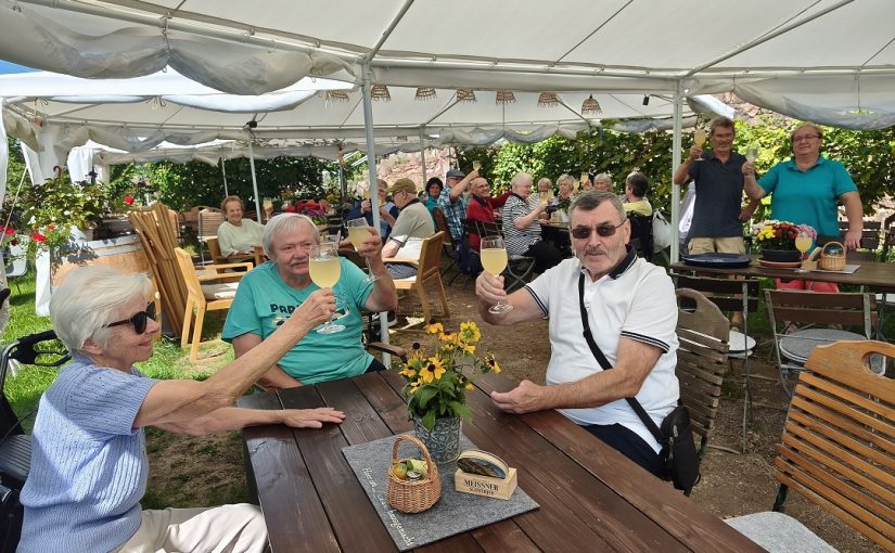 Ein wunderschöner Vormittag in den Meißner Weinbergen