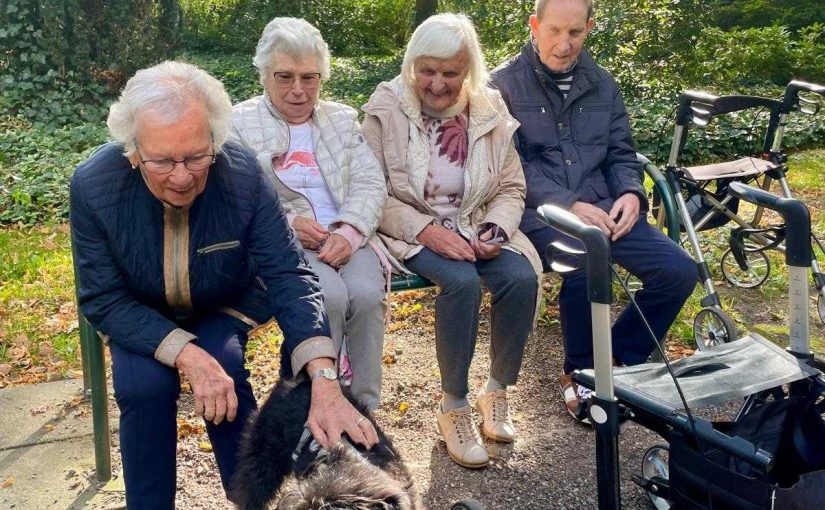 Ausflug zum botanischen Garten