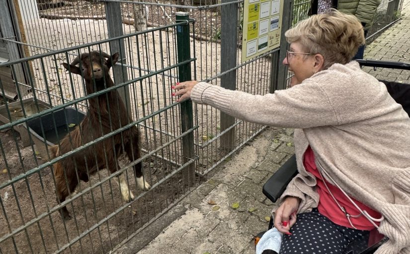 Ein schöner Tag im Tierpark Alsdorf